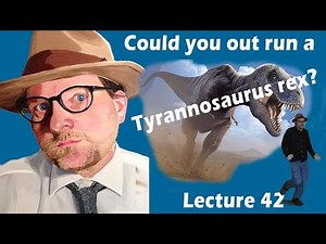Could you out run a Tyrannosaurus rex?