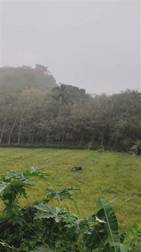 Our children's want to study bro