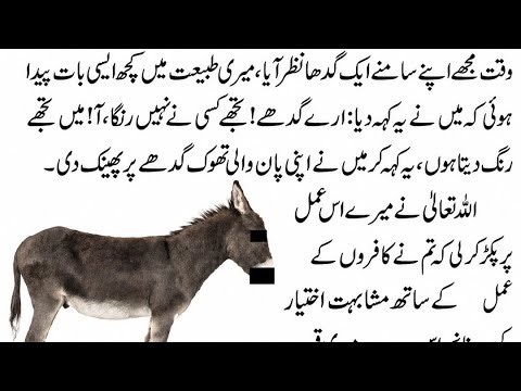 Allah KY Pakr Allah ka Azab #islamicpost#islam