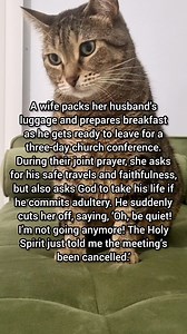 Conference cancelled 🤣 | Winter Cat