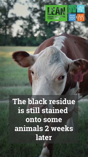 Roseland Explosion Update 9/8/2025