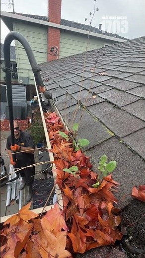 Avoid Costly Roof Damage: Clean Gutters Like a Pro!