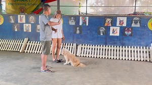 6.6K views · 70 reactions | အရင်ကဆို ခုလိုခိုင်းလို့ရဖို့နေနေသာသာ...