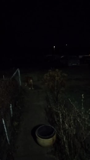 5.45am -4