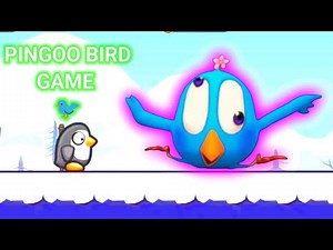 PINGOO BIRD | PINGOO GAME 2023 | NEW PINGOO FUNNY VIDEO