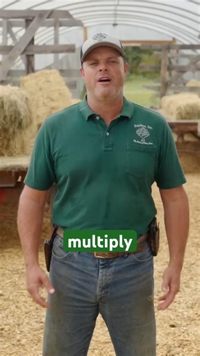 This is how Daniel Salatin got started raising rabbits for meat. #regenerativeagriculture #rabbits