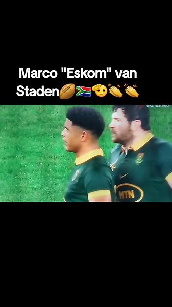 Exciting Springbok Rugby Moments: Champions Highlights