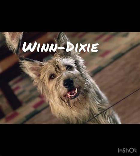 new pets in game|theories Thursday