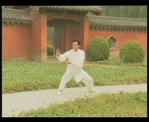 Taiji - Chen Style 王西安42式功夫架