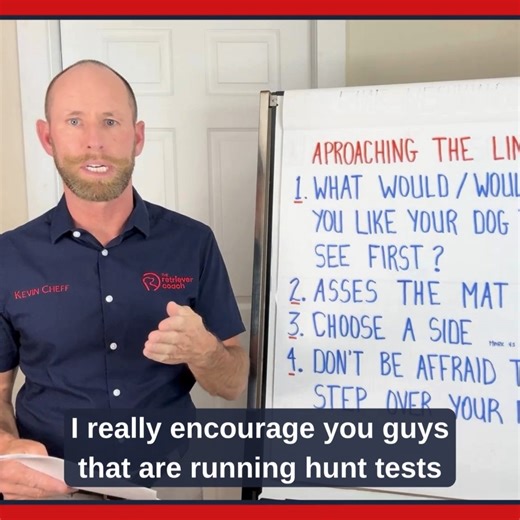 Even if you're running hunt tests, train with standout guns. They help your dog understand marking concepts and provide critical context for cues. Without white coats in the field, you're limiting your dog's learning. | The Retriever Coach