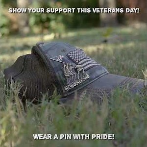 US Marine Corps Veteran's Day Pin