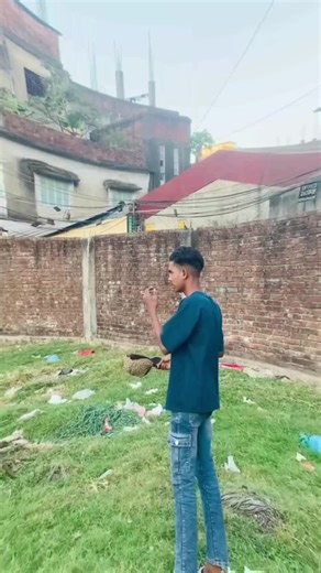 Emotional Reactions to Just Wow Song