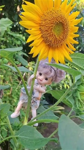 sun flower 🌻 #miniature #miniatureworld #sunflower
