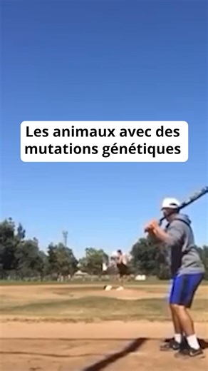Les animaux avec des mutations génétiques #animaux #nature | Virgule Animale