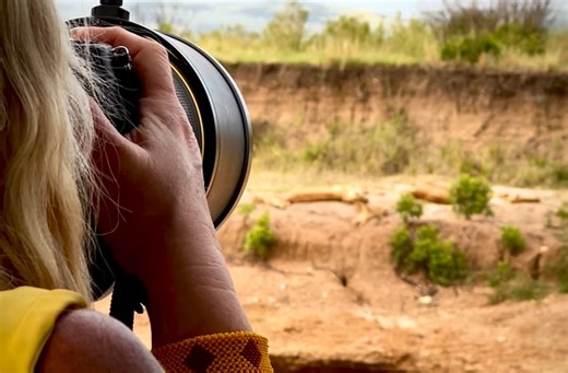 Nashipae Wilde - White Masai Photography on Instagram: "How close should you be to a big cat in the wild? The answer is always to start at a distance that does not interfere with the cat’s natural behaviour. If a cat alters its movement, posture, or attention because of you, you are already too close. That said, cats are cats, whatever their size and curiosity can sometimes bring them closer on their own terms. When this happens, the responsibility remains with us to stay calm, still, and non-in