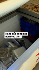 4.7K views · 34 reactions | Mực khay là mực sống vào đông liền và mực tươi ạ | Le Bao Tien | Facebook
