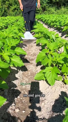 Windproof Agricultural Hey beautiful, stop using those old fashioned spraying methods | The Crafted Garden