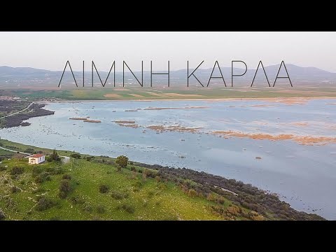 This Lake was brought back to life 60 years after a huge ecological mistake (eng.subs)