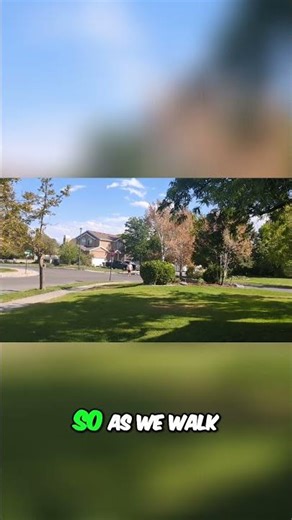 Phone Camera Distance Test: Can it film far? #shorts