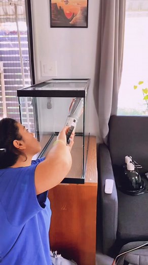 Thanks for 20k! 🥰 almost done with the tank conversion- part 2 soon!! #frogaccount #frog #frogs #frogsoftiktok #frogtok #whitestreefrog #dumpyfrog #amphibian #reptiletank #terrarium #terrariumbuild