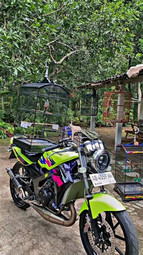 getke ndangak ndangak 🦜 #twostroke #fypシ #ndarboygenk #ninja #kicaumaniaindonesia