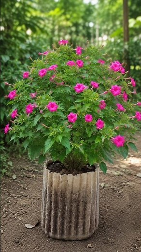 Pruning an Overgrown Four O'Clock Plant 🌸