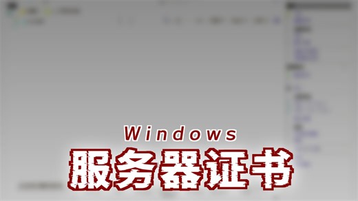系统安全-Windows-SSL设置