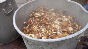 Decatur's Crabs on Reels