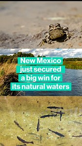 📣Great news for protecting water from pollution in New Mexico📣 Over 250 New Mexico river miles protected in Outstanding Natural Resource Waters designation! In a unanimous vote, New Mexico’s Water Quality Control Commission today designated over 250 river miles as Outstanding Natural Resource Waters (ONRWs) – the highest level of clean water protection the state can provide. Click the 🔗 to learn more! | Western Resource Advocates
