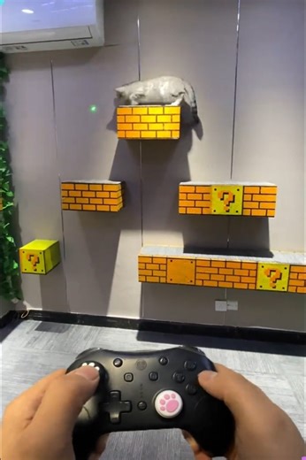 1.5M views · 18K reactions |  Mario Got Replaced… by This Hilarious Cat! | Creative Inspiration For You | Facebook