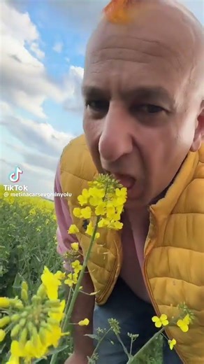 vidéo fou rire tiktok-Partie 2🤣😂#youtubeshorts #humour #shorts #shortvideo #youtube #drôle #fourire