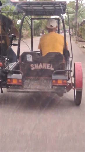 𝐬𝐡𝐚𝐚𝐧𝐞𝐞𝐞𝐞𝐥𝐥.,., #viral #views #ste