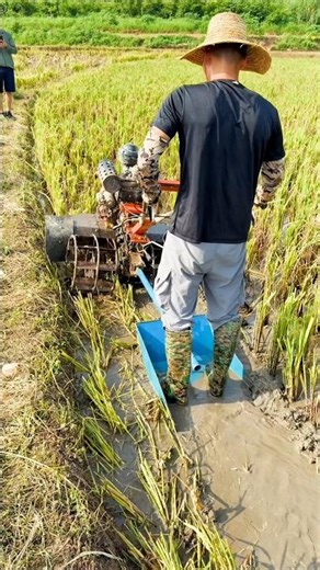 🌱 Powerful Mini Tiller You Need to See! 💪 #shorts #minitractor #farm