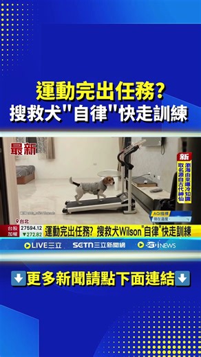 運動完出任務? 搜救犬Wilson"自律"快走訓練｜三立新聞網 SETN.com
