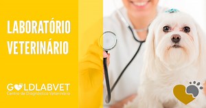 Exame PCR 1 veterinário - Tudo que você precisa saber | Gold Lab Vet