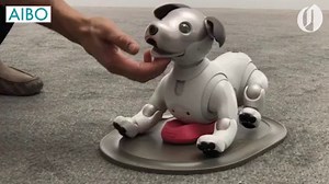 12 of the wildest tech gadgets coming online, from CES 2018. Full story: https://trib.al/co4g9kW | The Oregonian