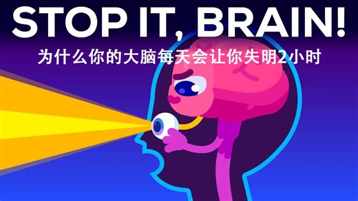 Kurzgesagt科普：为什么你的大脑每天会让你失明2小时
