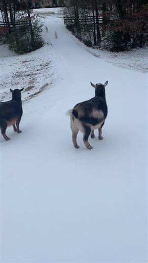 euincross (@euin.cross)’s videos with original sound - euincross