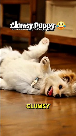 Puppy Fails Compilation 🐾