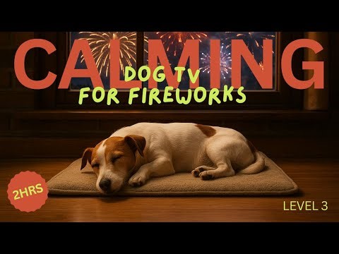 Firework Desensitisation TV for Dogs – Level 3 (Moderate Fireworks + Soothing Ambience)