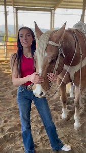 15-Year-Old Palomino Gelding, Jet. Looking for a solid, all-around horse? Meet Jet, a 15-year-old Palomino with plenty of pro rodeo experience in trick riding openings. He’s done it all - roping, branding, trick riding lessons, I’ve picked up on him twice, even shooting guns off his back. Jet’s super broke, safe, and easy to handle. He loves kids and would be perfect for a little girl looking for a steady, loyal partner. He’s friendly, loves attention, and is good with his feet. Up-to-date on ev