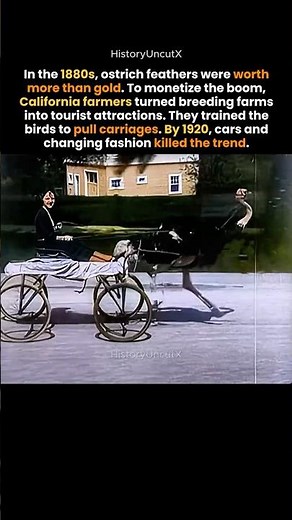 Faster Than Horses: Racing Ostriches in 1920