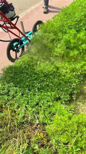MASTER The Dense Weeds With This Wheeled String Trimmer! 🌿