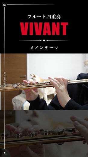 【フルート四重奏】VIVANT_メインテーマ #柴音フルート#shorts