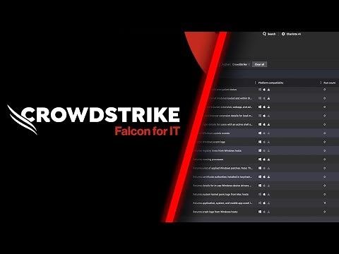 See Falcon For IT in Action