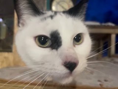 UNCC Camera 1 -24/7 Original Livestream