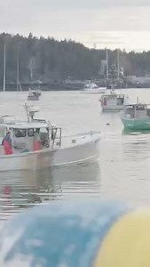 1.4K views · 29 reactions | Here's a trailer for the short documentary that's coming out next week that speaks to the specific issues threatening Maine's lobster fishery and the people and families that depend on it. This doc will break down those issues and explain them to people so they have a better grasp of what's happening and how they can help to ensure this tradition and way of life continues. The full video will be released on Tuesday | Teagan Wright Comedy | Facebook