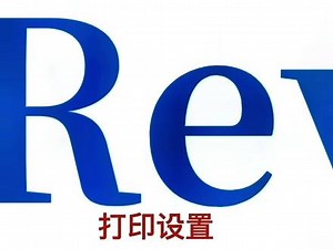 Revit实用小技巧（17）打印设置#bim教程 #bim教学 #bim小技巧 #bim培训 #revit #revit教程 #建工软件培训 #bim建模入门教程 #bim @建工软件培训
