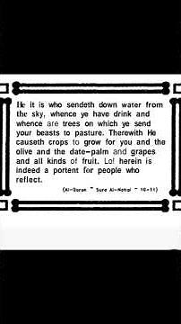 Quran; Surah Al-Nahal, Ayat 10-11/English🤲