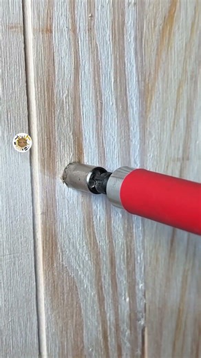 Shelf Screws